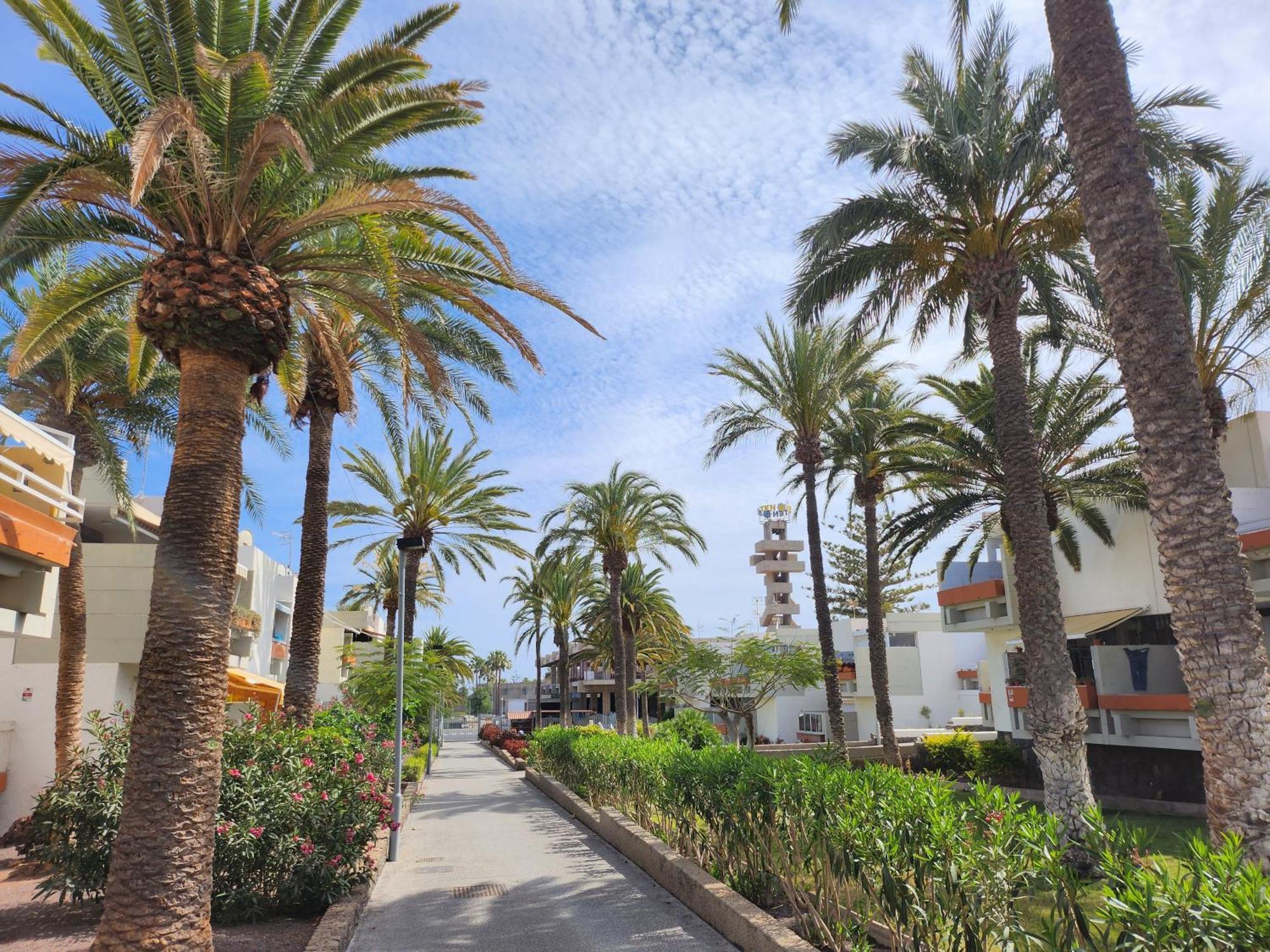 Tenerife Sunshine South Apartment Beach By La Ballena Арона Екстер'єр фото