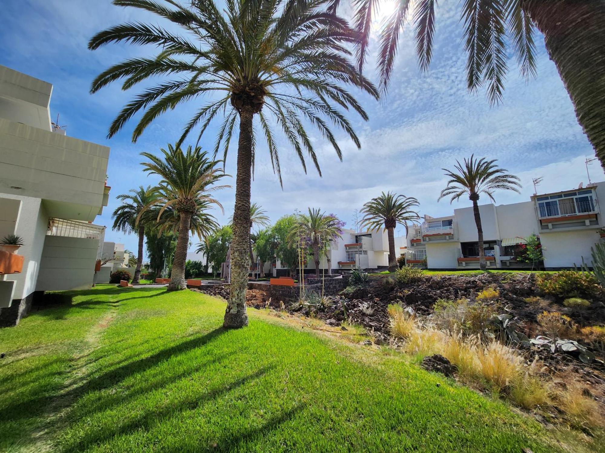 Tenerife Sunshine South Apartment Beach By La Ballena Арона Екстер'єр фото